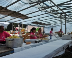 dsc 0270 800x531